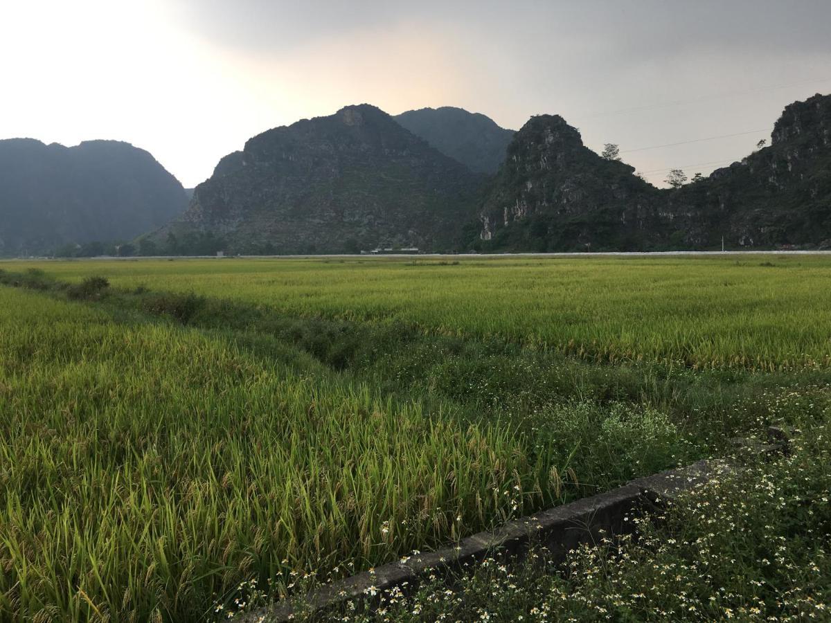 Limestone View Homestay Ninh Binh Exterior foto