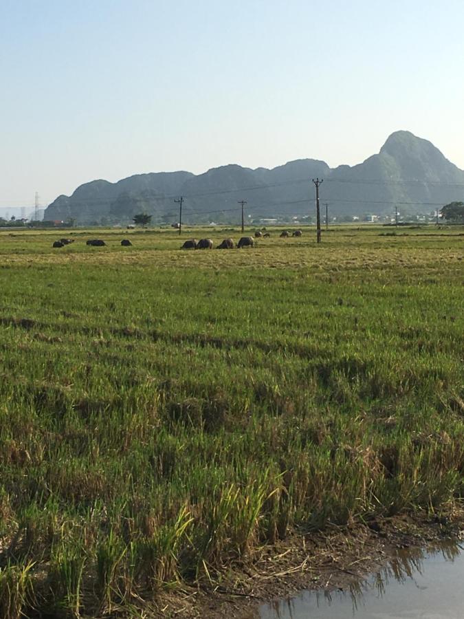 Limestone View Homestay Ninh Binh Exterior foto